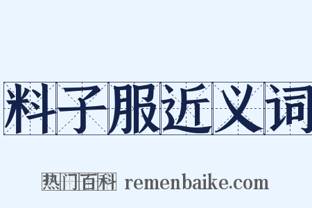 料子服近义词是什么意思的图片